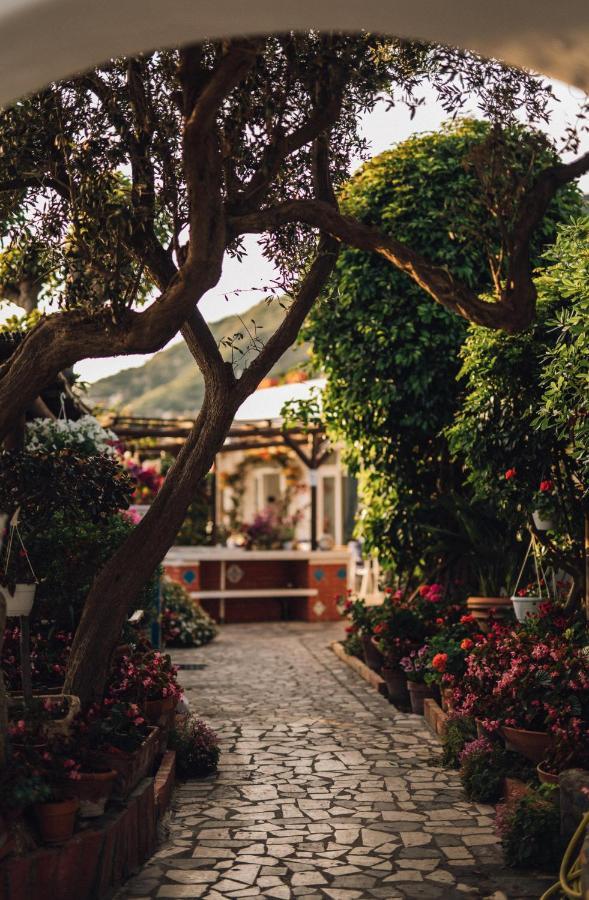 Hotel Villa Maria Sant'Angelo  Exteriér fotografie
