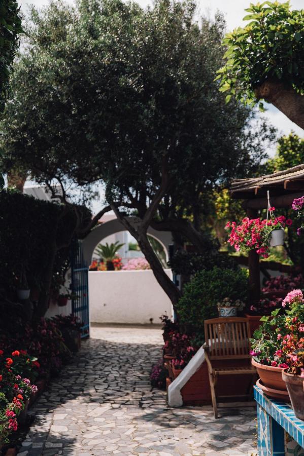 Hotel Villa Maria Sant'Angelo  Exteriér fotografie