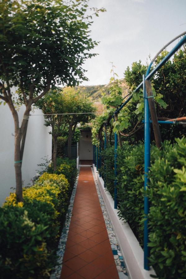 Hotel Villa Maria Sant'Angelo  Exteriér fotografie