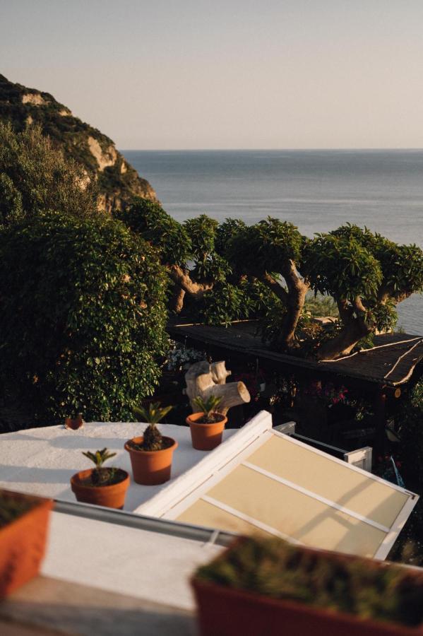 Hotel Villa Maria Sant'Angelo  Exteriér fotografie